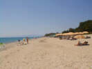Skala.