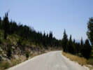 Cypress Road.