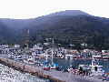 sami - another view.